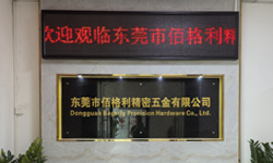 公司简介